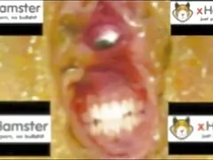 Python adolescenti che è divertente e ottiene una lezione di sperma con el ella film hard italiani con trama